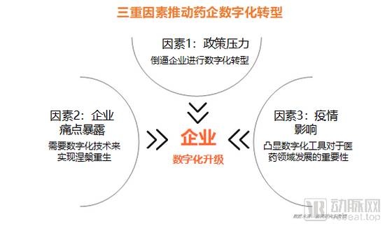 当代营销中的数字化转型策略：从传统到未来的变革